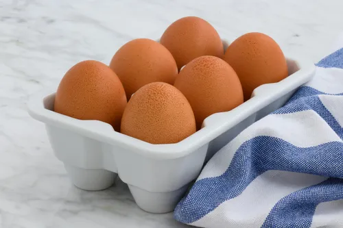 Camarão, leite, ovos e mel: Paraíba cresce em produção de alimentos de origem animal, diz IBGE