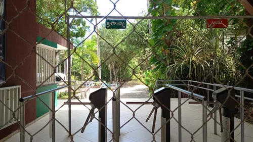 Homem é morto por leoa após invadir jaula na Bica: o que se sabe sobre o caso