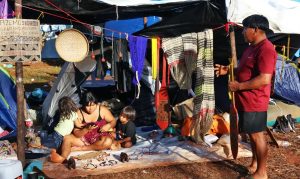 MPF e PF apuram denúncias de ataques contra indígenas MPF e PF apuram denúncias de ataques contra indígenas