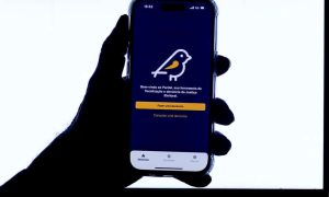 Pardal registra mais de 300 denúncias no 2° turno na Paraíba Pardal registra mais de 300 denúncias no 2° turno na Paraíba
