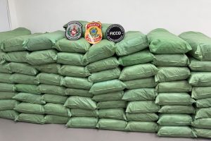 Polícia prende suspeito e apreende meia tonelada de maconha na Paraíba Polícia prende suspeito e apreende meia tonelada de maconha na Paraíba