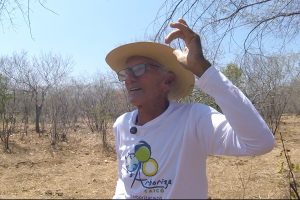 como o sertanejo utiliza plantas e animais para prever chuvas como o sertanejo utiliza plantas e animais para prever chuvas
